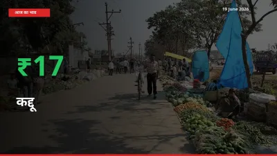 तेज़ तेजी! मंडी में कद्दू के दाम 16.72% चढ़े