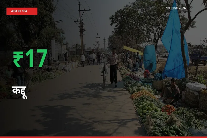 तेज़ तेजी! मंडी में कद्दू के दाम 16.72% चढ़े