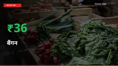 किसानों के लिए खुशखबरी! स्थानीय मंडी में बैंगन 36.19% उछला