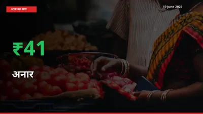 बाज़ार संकेत: अनार के भाव मंडी में 40.73% ऊपर