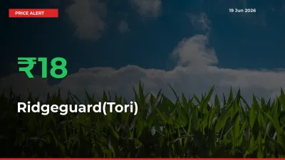 Why Ridgeguard(Tori) Prices Rose 18.02% in a Day at Mandis