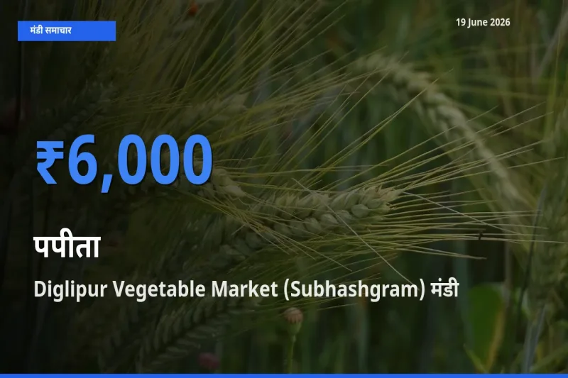 Diglipur Vegetable Market (Subhashgram) मंडी में पपीता ₹6,000 पर पहुँचा – आज का सर्वोच्च भाव