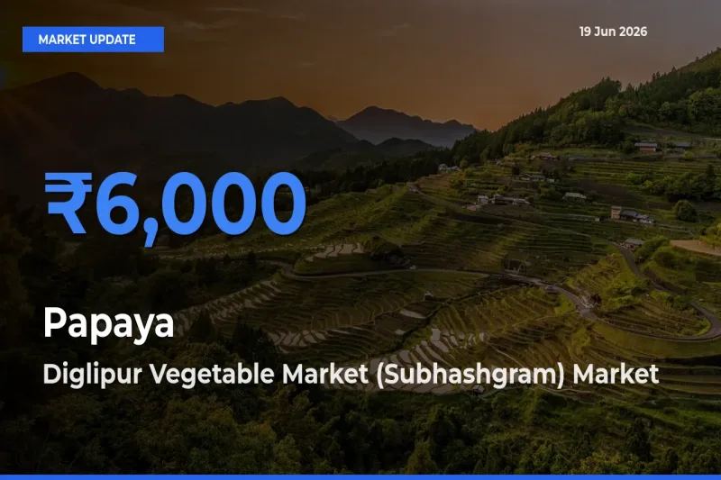 Market Watch: Diglipur Vegetable Market (Subhashgram) Becomes Top Mandi for Papaya