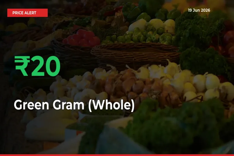 Sharp Jump! Green Gram (Whole) Prices Climb 19.75% in 24 Hours at Key Mandis
