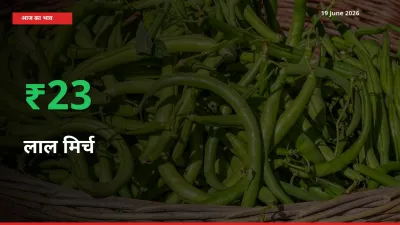 स्थानीय मंडी में लाल मिर्च के दाम अचानक 23.15% उछले, किसान सतर्क
