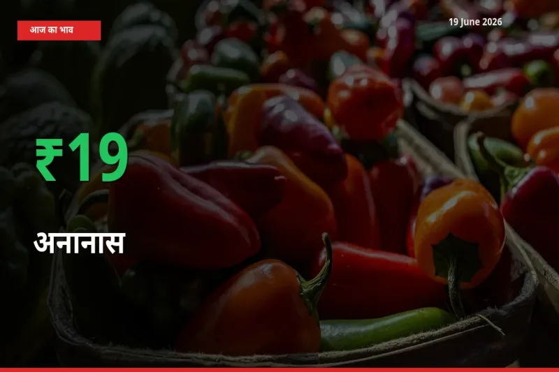स्थानीय मंडी में अनानास के दाम अचानक 19.13% उछले, किसान सतर्क