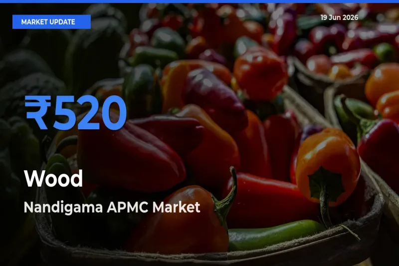 Nandigama APMC Emerges as Top Mandi for Wood Prices Today