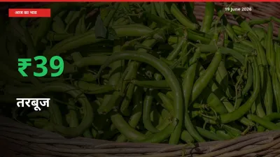 बाज़ार संकेत: तरबूज के भाव मंडी में 38.94% ऊपर