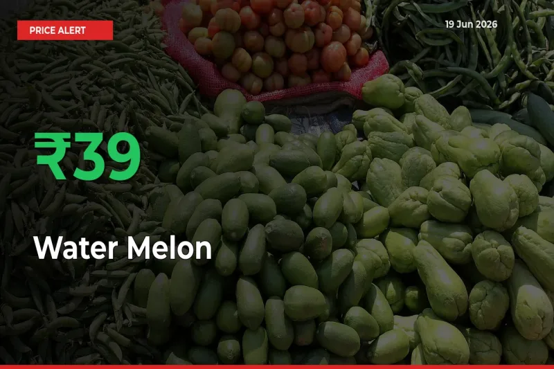 Sharp Jump! Water Melon Prices Climb 38.94% in 24 Hours at Key Mandis