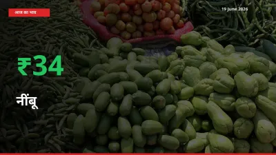 बाज़ार संकेत: नींबू के भाव मंडी में 33.99% ऊपर