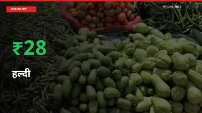 स्थानीय मंडी में हल्दी के दाम अचानक 28.4% उछले, किसान सतर्क