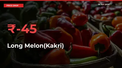 Long Melon(Kakri) Falls 44.91% at Mandis