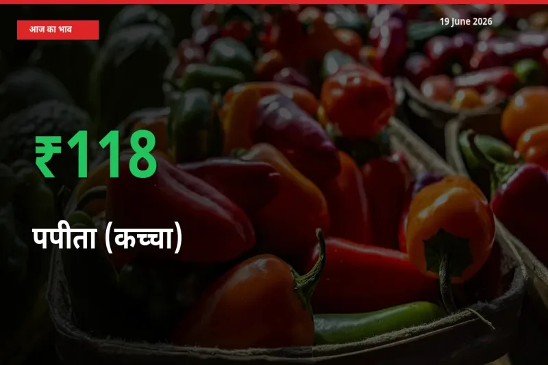 19 June अपडेट: पपीता (कच्चा) के दाम मंडी में 118.25% उछले