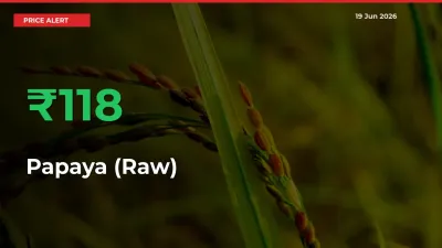This Mandi Records 118.25% Jump in Papaya (Raw) Prices