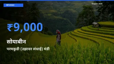 बाज़ार संकेत: परमकुडी (उझावर संधाई) बना सोयाबीन के लिए आज की टॉप मंडी