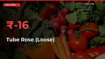 Tube Rose (Loose) Prices Drop 16.3% in 24 Hours at Major Mandis