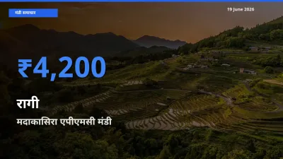किसानों की पसंद बना मदाकासिरा एपीएमसी, रागी के सबसे अच्छे दाम