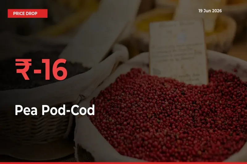 Sharp Fall! Pea Pod-Cod Prices Plunge 15.51% in a Day at Key Mandis