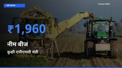 किसानों की पसंद बना कुक्षी एपीएमसी, नीम बीज के सबसे अच्छे दाम