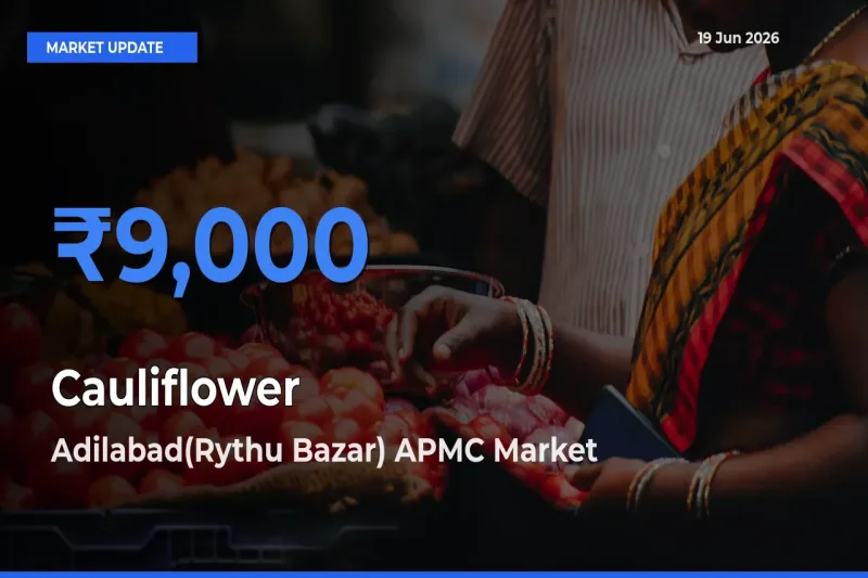 Adilabad(Rythu Bazar) APMC Tops Cauliflower Mandi Rates Today
