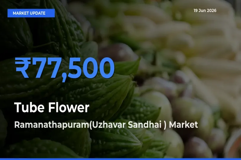 Ramanathapuram(Uzhavar Sandhai ) Records Highest ₹77,500 Rate for Tube Flower