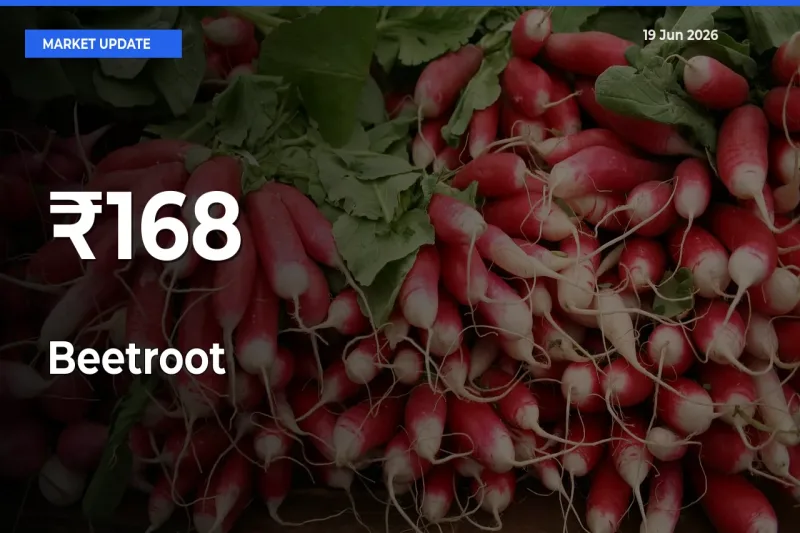 Beetroot Mandi Prices Move in Sync Across Major Markets Today