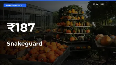 Snakeguard Rates Show Broad Movement Across 187+ Mandis