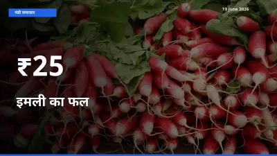 आज का मंडी ट्रेंड: इमली का फल के दाम कई बाजारों में एक साथ बदले