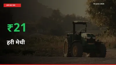 हरी मेथी के दाम प्रमुख मंडी में 21.22% बढ़े, 24 घंटे में बड़ा बदलाव