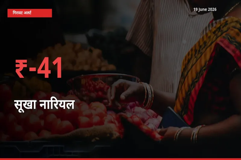 किसानों की चिंता बढ़ी! स्थानीय मंडी में सूखा नारियल 41.12% गिरा