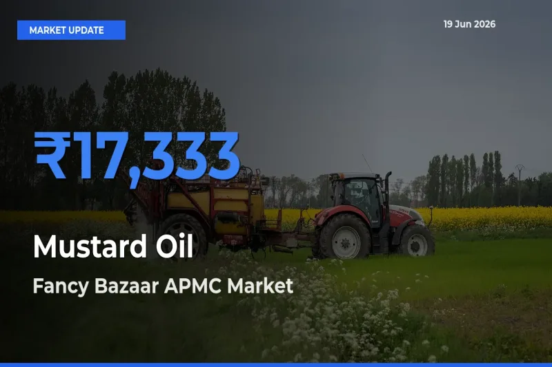 Mustard Oil Mandi Rate Today: Fancy Bazaar APMC Tops the List