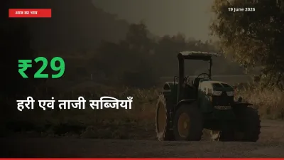 किसानों के लिए खुशखबरी! स्थानीय मंडी में हरी एवं ताजी सब्जियाँ 29.41% उछला