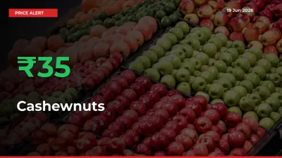 Cashewnuts Prices Rise 34.51% in a Day at Major Mandis