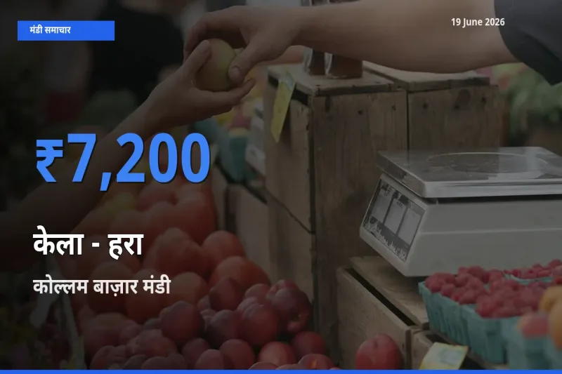 किसानों की पसंद बना कोल्लम बाज़ार, केला - हरा के सबसे अच्छे दाम