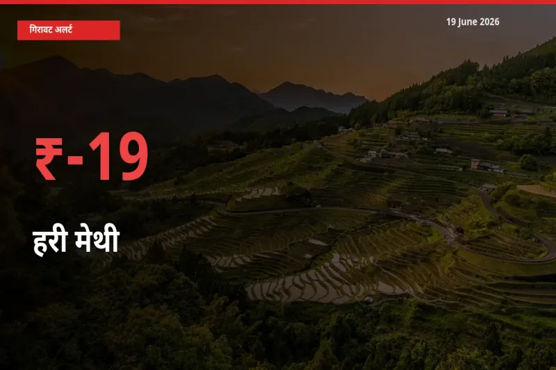 स्थानीय मंडी में हरी मेथी के दाम अचानक 18.89% गिरे, किसानों की चिंता बढ़ी