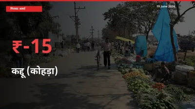 15.14% की गिरावट! मंडी में कद्दू (कोहड़ा) के दाम अचानक टूटे