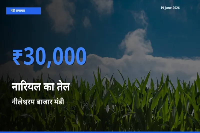 आज नारियल का तेल के सबसे ज़्यादा दाम नीलेश्वरम बाजार मंडी में दर्ज