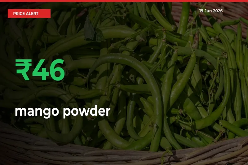 mango powder Rises 46.42% at Mandis