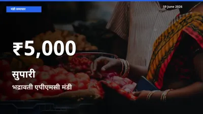 भद्रावती एपीएमसी में सुपारी ₹5,000 पर गिरा – 30 दिन का न्यूनतम भाव