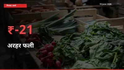 आज का मंडी भाव: अरहर फली के दाम मंडी में 21.38% नीचे