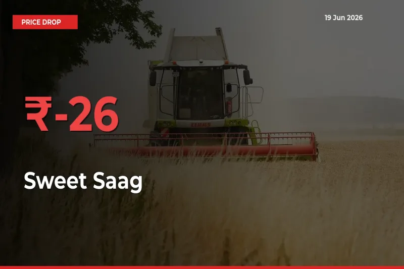 Sharp Fall! Sweet Saag Prices Plunge 26.19% in a Day at Key Mandis