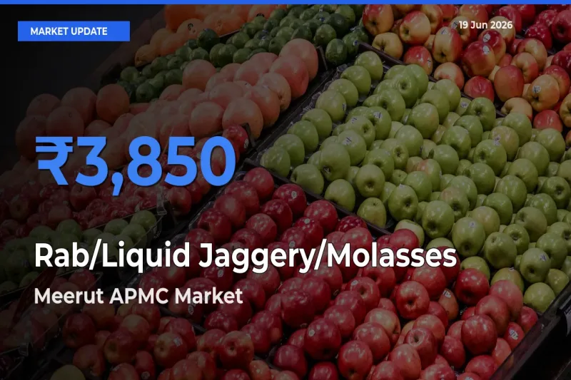 Rab/Liquid Jaggery/Molasses Mandi Rate Today: Meerut APMC Tops the List