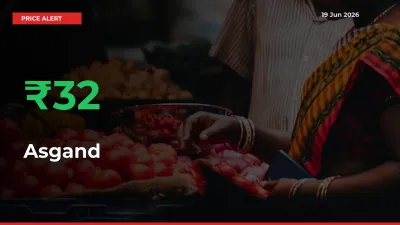 Why Asgand Prices Rose 31.87% in a Day at Mandis