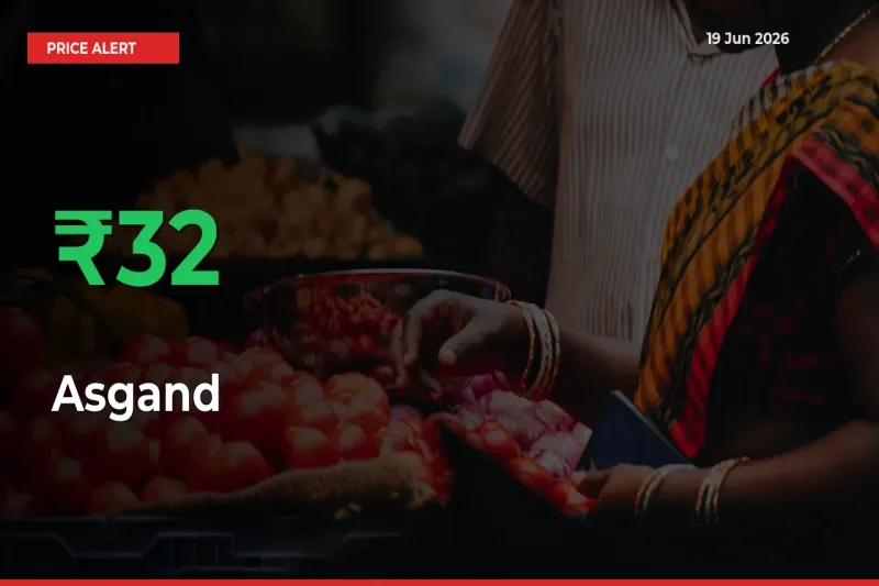 Why Asgand Prices Rose 31.87% in a Day at Mandis