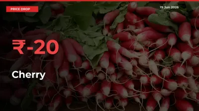 Cherry Mandi Rate Today: Prices Fall 19.62% at Market