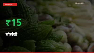 मौसंबी के दाम प्रमुख मंडी में 15.09% बढ़े, 24 घंटे में बड़ा बदलाव