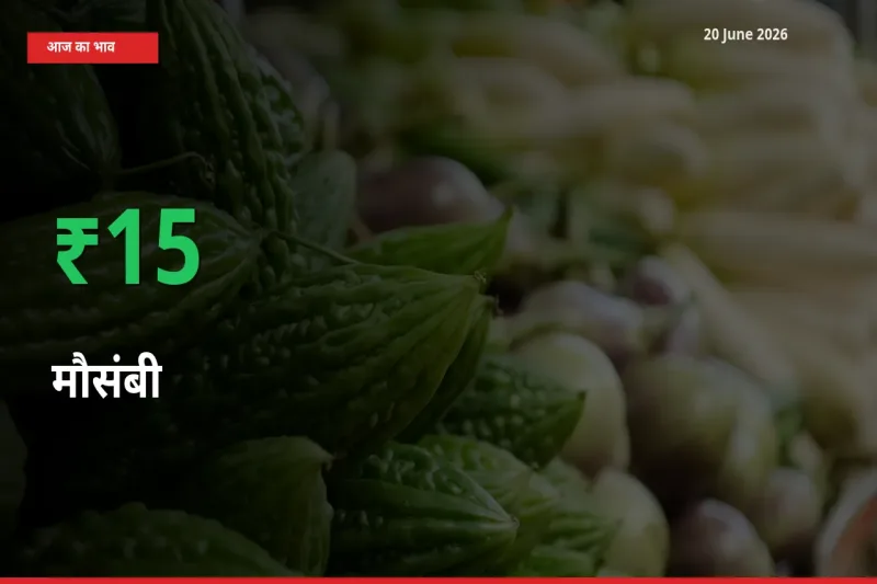 मौसंबी के दाम प्रमुख मंडी में 15.09% बढ़े, 24 घंटे में बड़ा बदलाव
