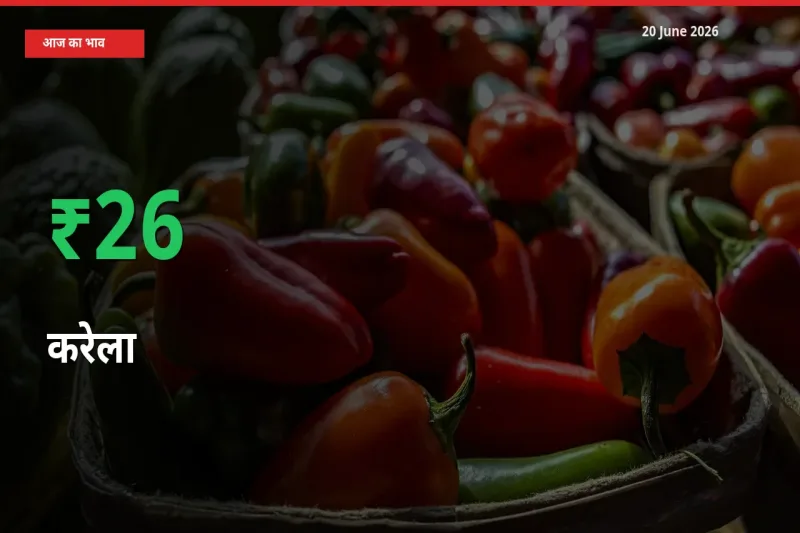 करेला के दाम प्रमुख मंडी में 26.24% बढ़े, 24 घंटे में बड़ा बदलाव