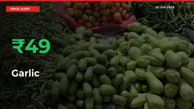 49.43% Spike in Garlic Prices – Mandi Sees Sudden Rally