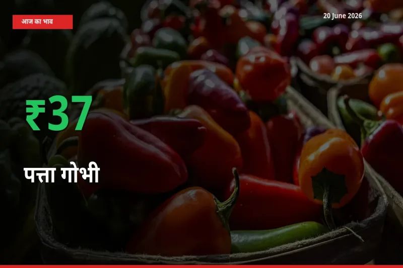 20 June अपडेट: पत्ता गोभी के दाम मंडी में 37.07% उछले